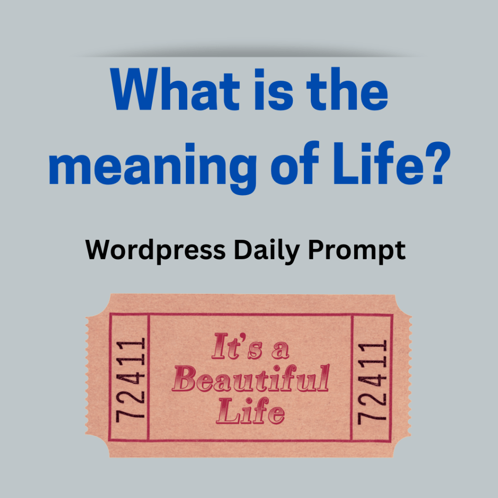 What is the meaning of&nbsp;life?